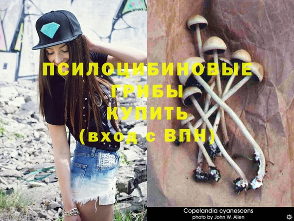 скорость Абаза