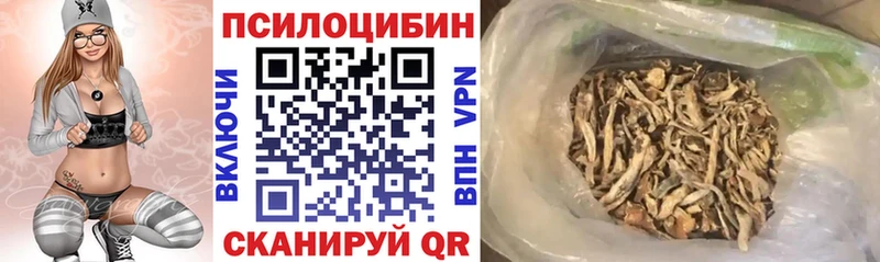 mega рабочий сайт  сколько стоит  Камышлов  Галлюциногенные грибы MAGIC MUSHROOMS 