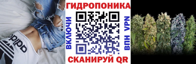 наркота omg маркетплейс Бошки марихуана тримм Камышлов